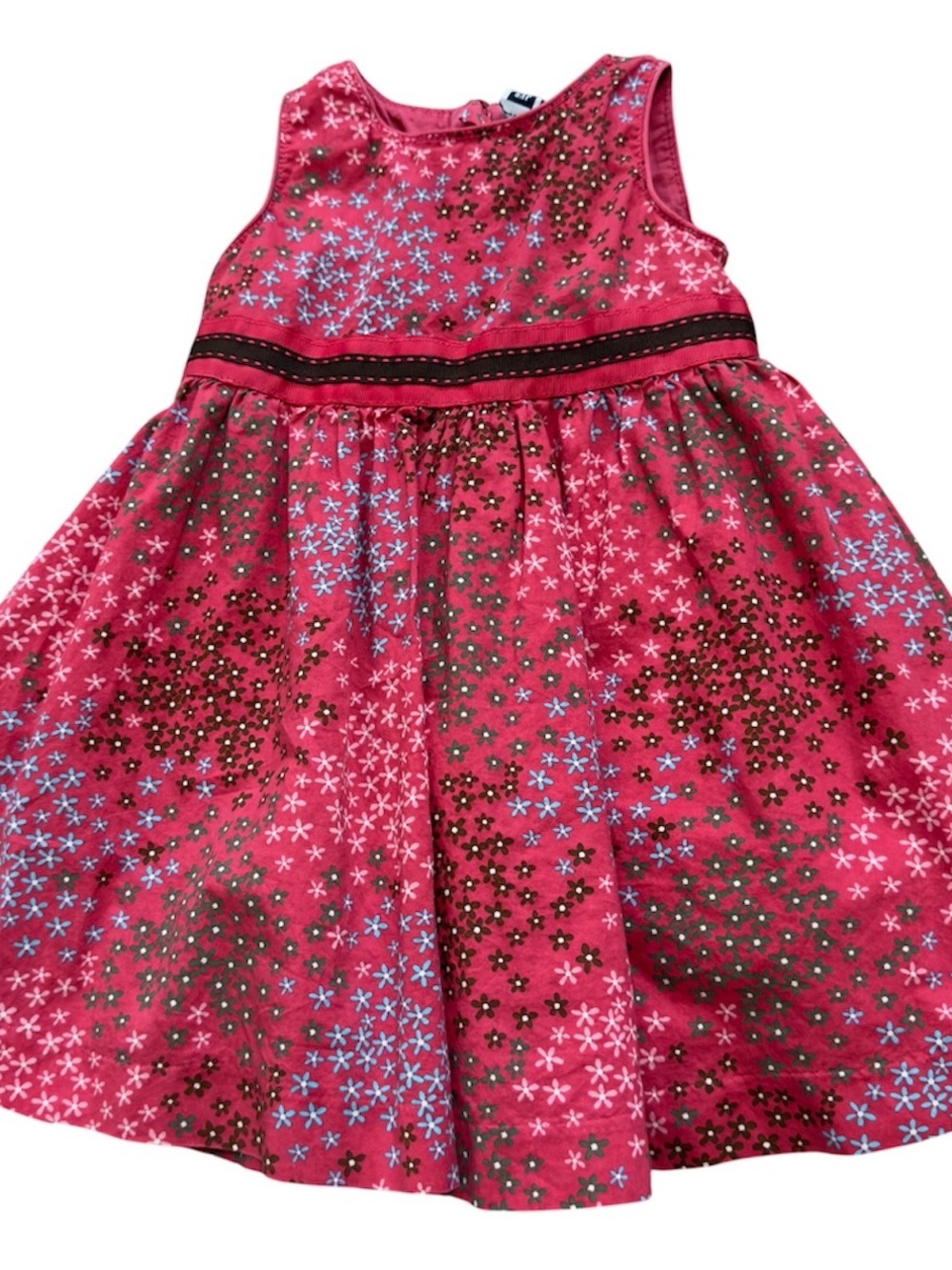 Baby Gap Pink Floral Dress 18-24M Cottagecore Easter Spring